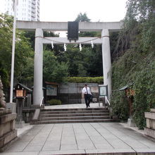 鳥居の景観です。