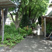 陌草園
