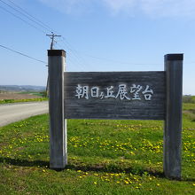 左側の電線が邪魔です