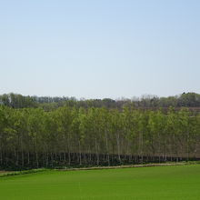 オーヴェールの丘から