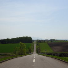 オーヴェールの丘から