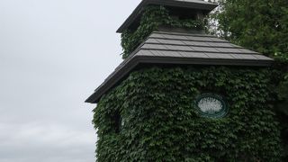 ラベンダー満開のファーム富田