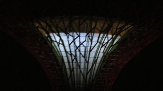 夜と昼の趣の違う顔をもつガーデンズバイザベイ、最高でした。