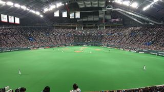 プロ野球