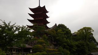 色々な場所から眺めることができます。