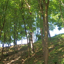 駐車場から目的地まで移動中…