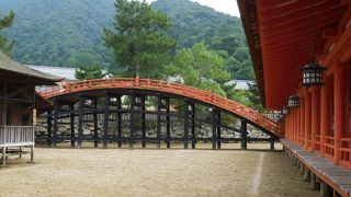 かなり反ってます