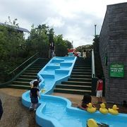 アーニーのお気に入りのあひるのおもちゃ