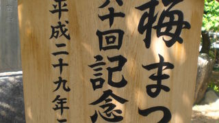 湯島天満宮の梅園は、本殿や参集殿の傍にあり、湯島天満宮の中心的な位置です。