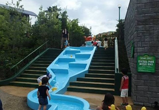 アーニーのお気に入りのあひるのおもちゃ