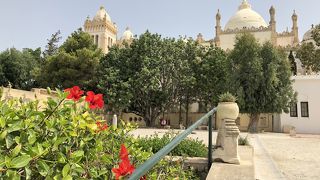 入場料6ディナール