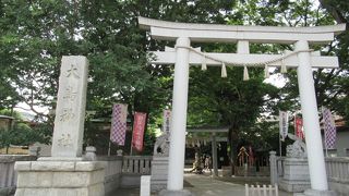 新しく見えるが歴史ある神社です