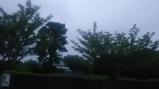 広い公園ですね