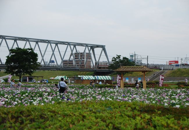 早朝もオススメ