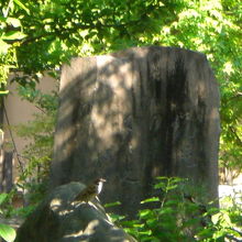 梅園の緑の樹々に囲まれている泉鏡花の筆塚の上部の半分です。
