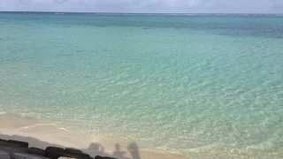 空港沿いの海が美しすぎる