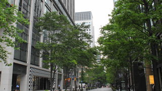 街路樹が美しい