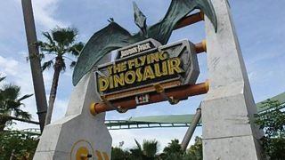 ものすごい姿勢です！