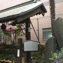 手水の傍に解説板があり、その右に富士講関係の石碑群があります