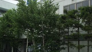 屋内のゲレンデ