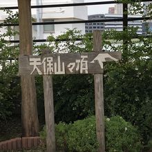 天保山の頂き