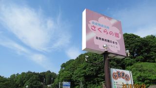 春、桜の季節がおすすめらしい