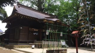 木陰が心地よい