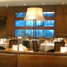 水槽がいっぱい