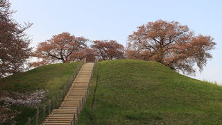 桜満開の時期に、絶対再訪しようと思います