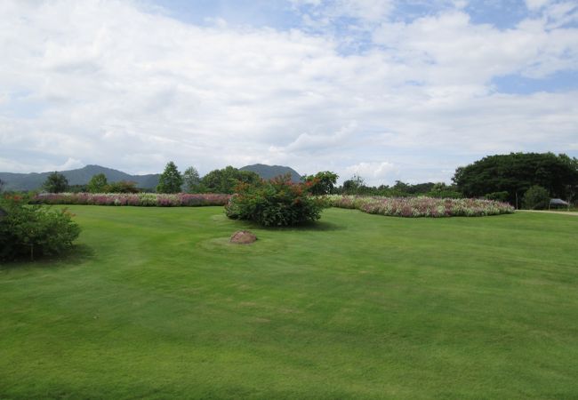 広大な敷地を持つ公園