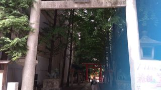 素晴らしい場所