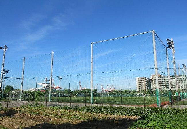 女子サッカーの聖地