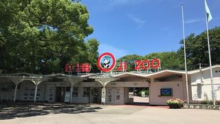 パンダもいるアットホームな動物園