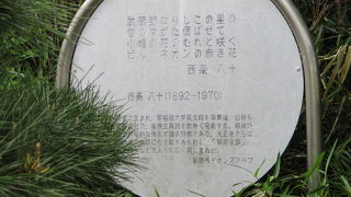 「同期の桜」「青い山脈」「東京音頭」「王将」など昭和の大詩人です。
