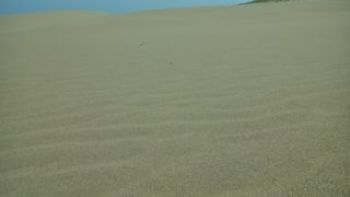 風紋がみられました