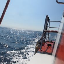 アドリア海・・気持ち良かった