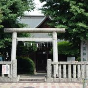 大木が茂る神社