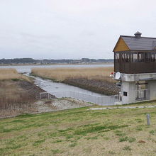 利根川河川敷の風景