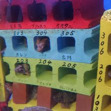 お魚マンション