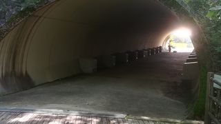 かざこし子どもの森公園