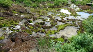 写真の方が雰囲気があります