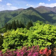 最高の風景