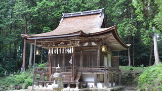 国宝の本殿のある神社
