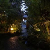 綺麗な庭があります。