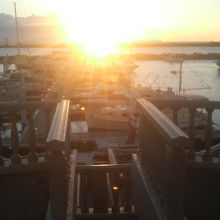 周囲に並ぶヨットや水平線と合わせて絵になります