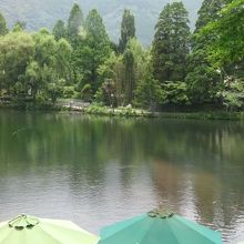美術館から見た風景。