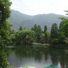 シャガール美術館の窓からです。