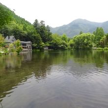 山々が見えます。