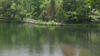 できれば静かな時にまた来たい。