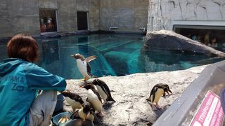 もぐもぐタイムに遭遇